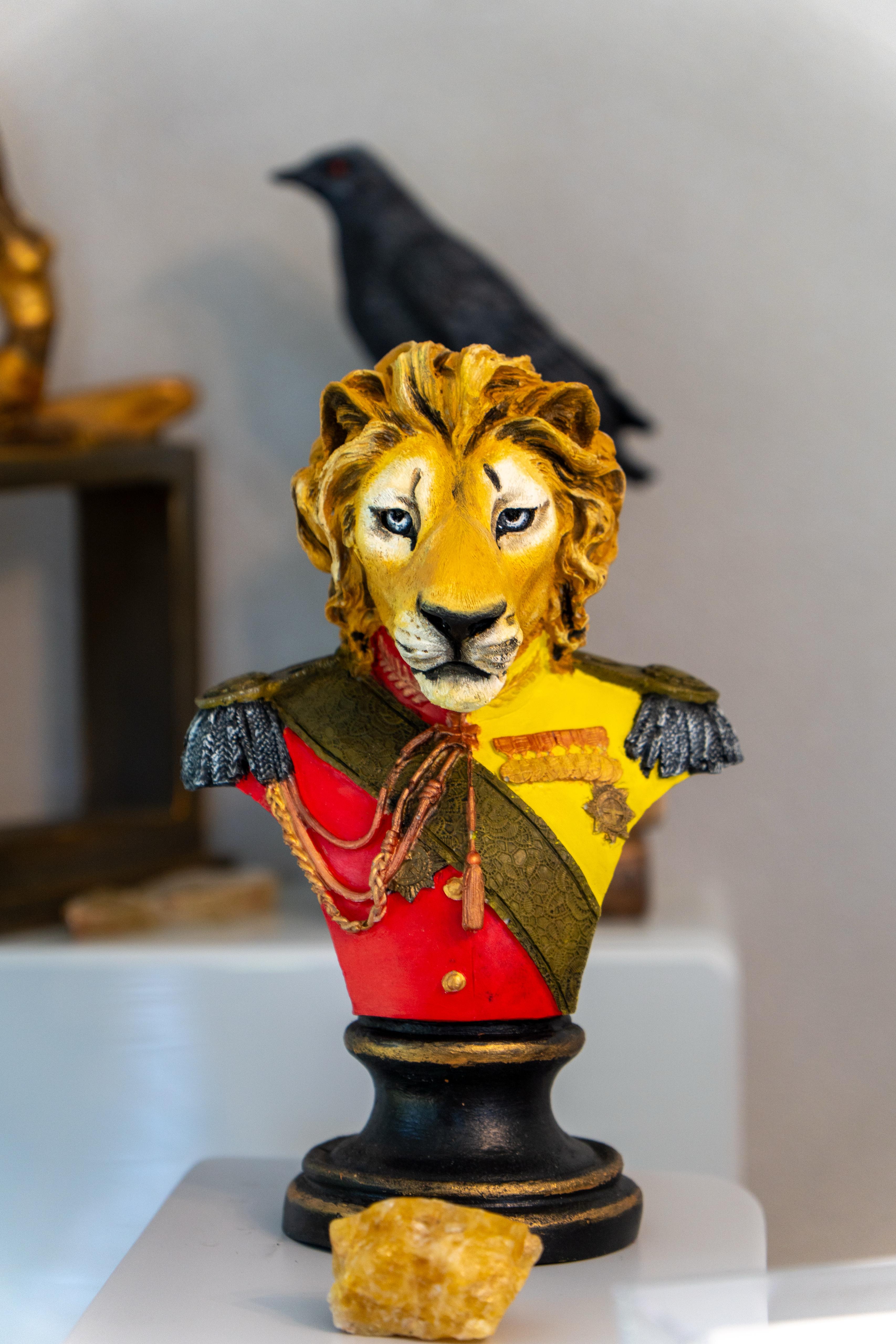 Rehabilitasyon Alanı